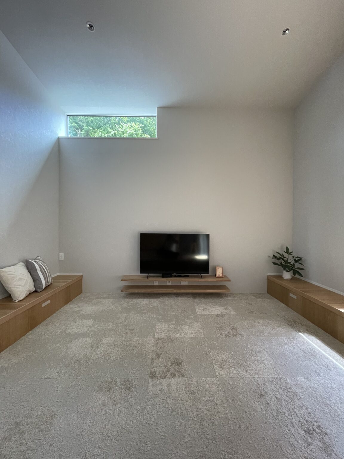 Modern living room with a wall-mounted flat-screen TV centered on a gray wall, flanked by low wooden benches with cushions and a potted plant on the right.
